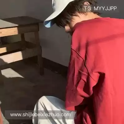 庞眉
